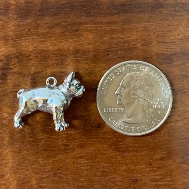 French Bulldog Charm