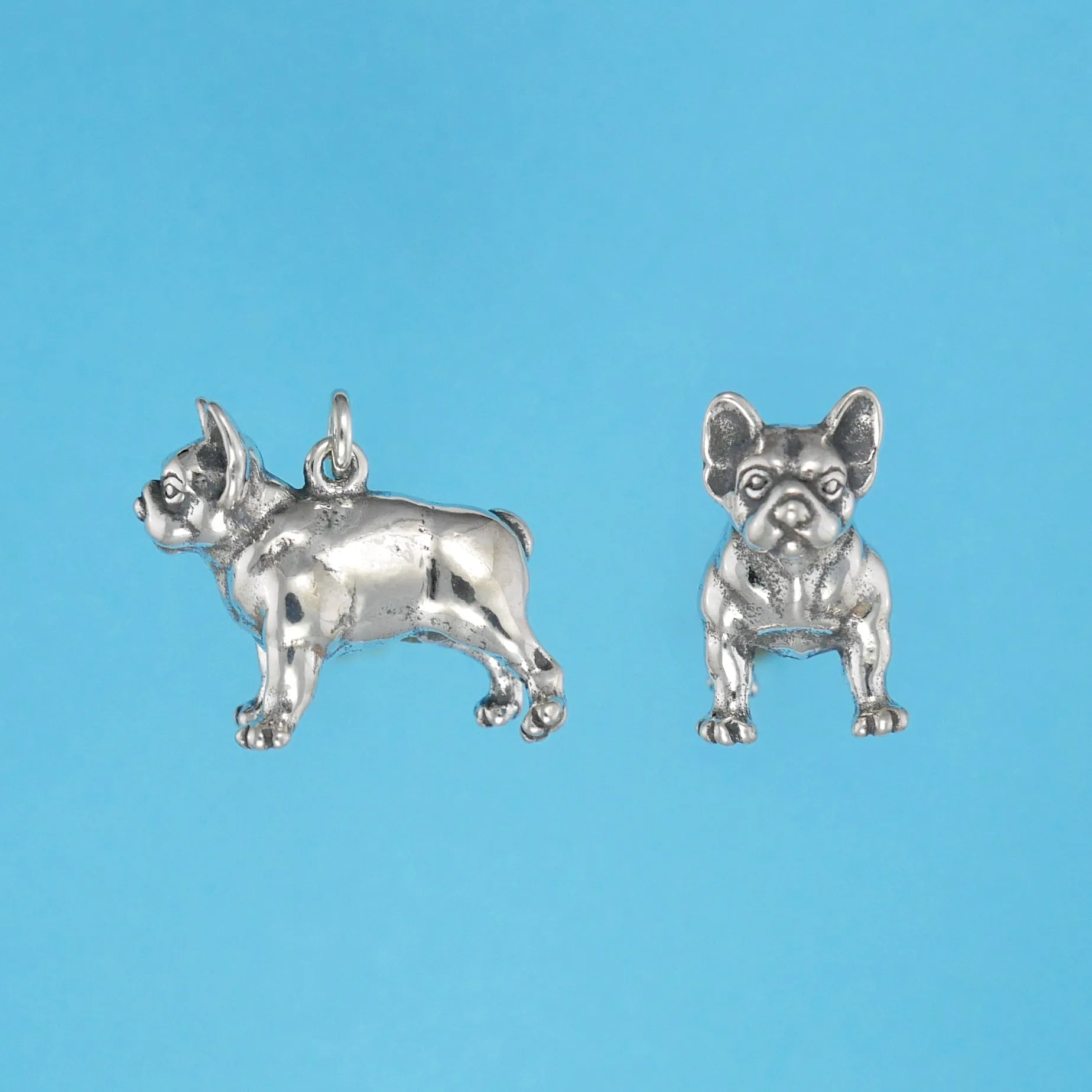 French Bulldog Charm