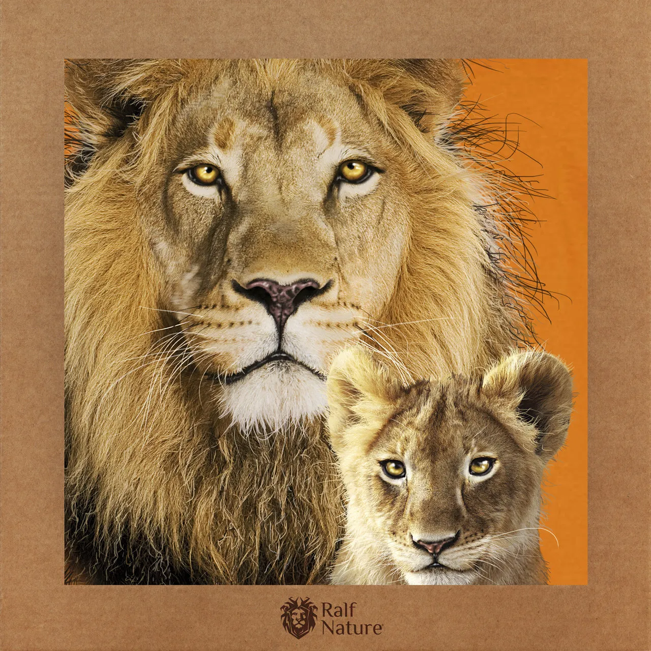 Lion & Son T-Shirt Kids