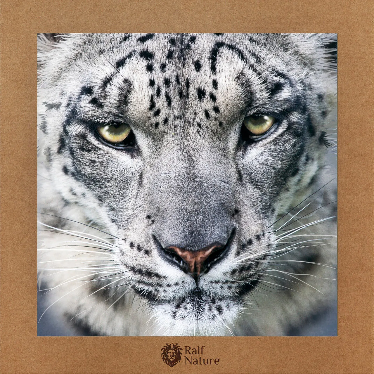 Snow Leopard T-Shirt