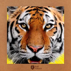 Tiger Face T-Shirt Kids